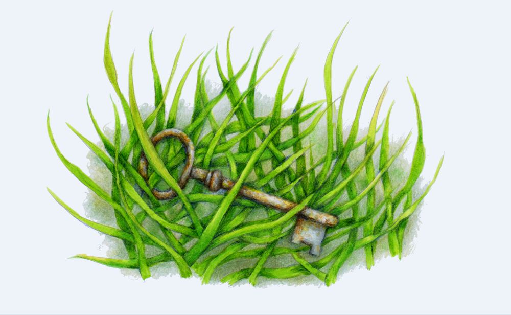 The mysterious key, found lying in the grass