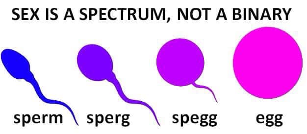 sperg