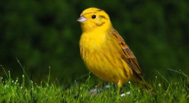 Schadenfreude? Revenge? – Blessed&nbsp;release?