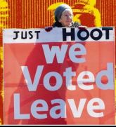 Banner - Just HOOT- we voted Leave