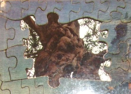 Detail of front cover: significant spaces