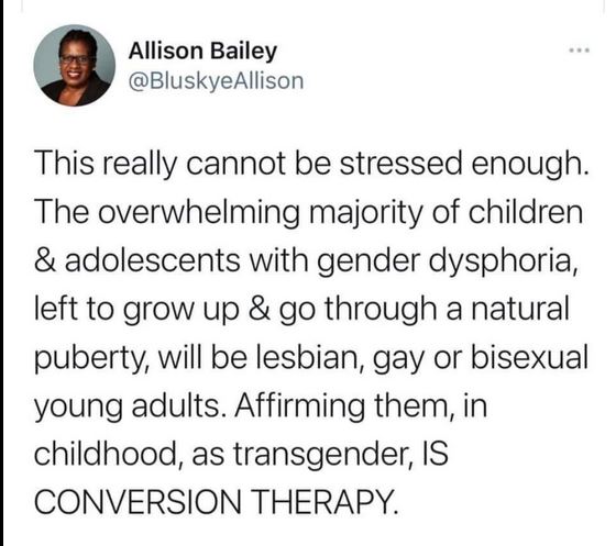 Allison Bailey 'affirming lesbian and gay kids as trans is conversion therapy.