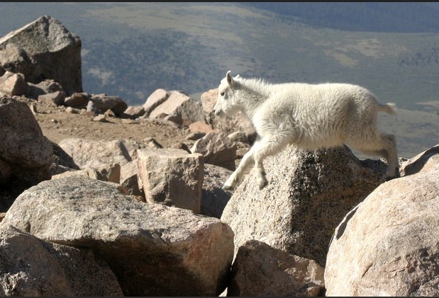 If you were honest, what would you&nbsp;say?