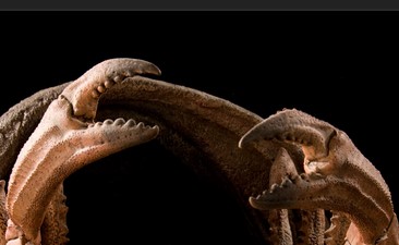 Sorry, we broke the&nbsp;revolution?