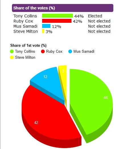Central St Leonards results chart by moderngov