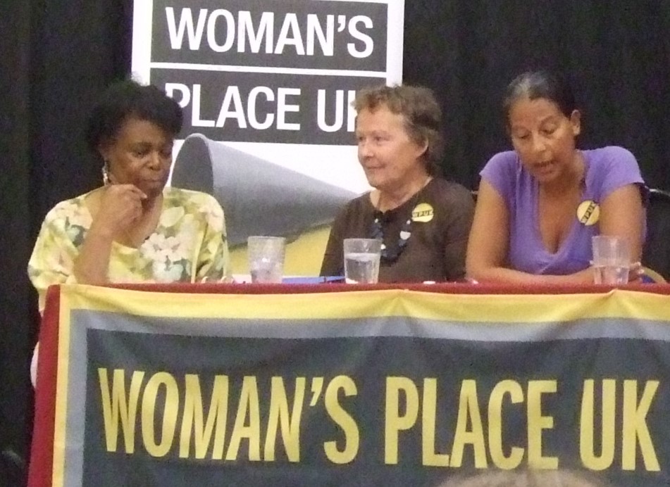 Sonie Appleby on the panel at WPUK in Lewes