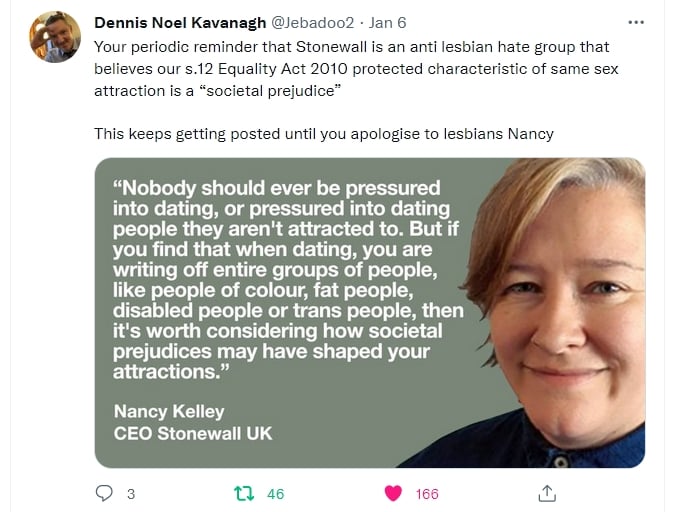 Nancy Kelly describes lesbianism as a 'societal prejudice'