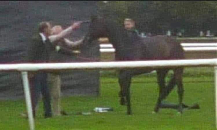 Photo: shooting a horse after the grand national