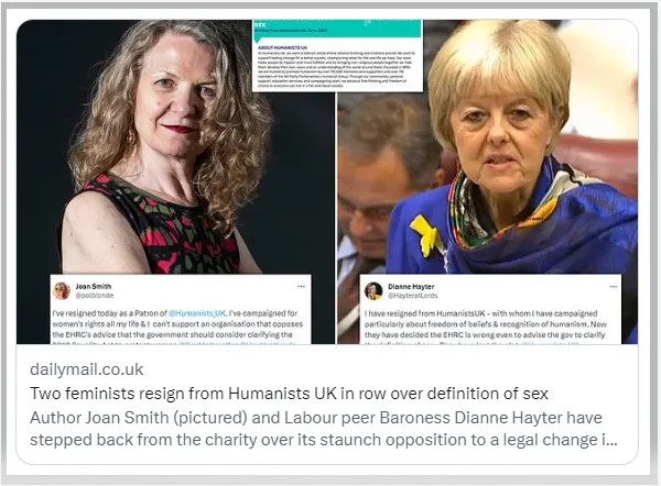 Daily mail article pic