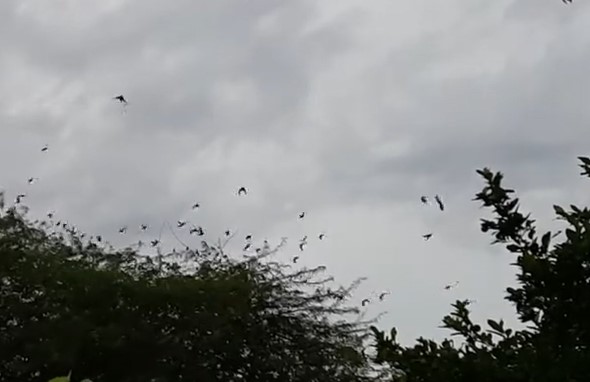 When the war is lost and&nbsp;won