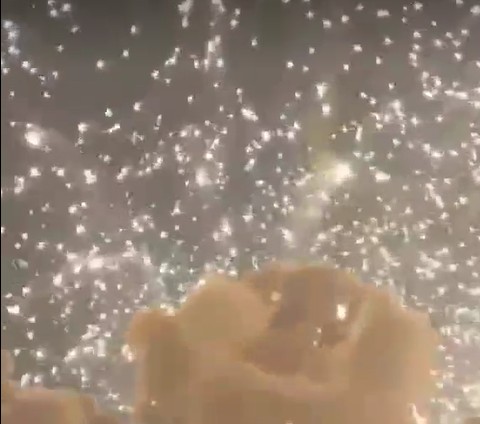 Hastings connections