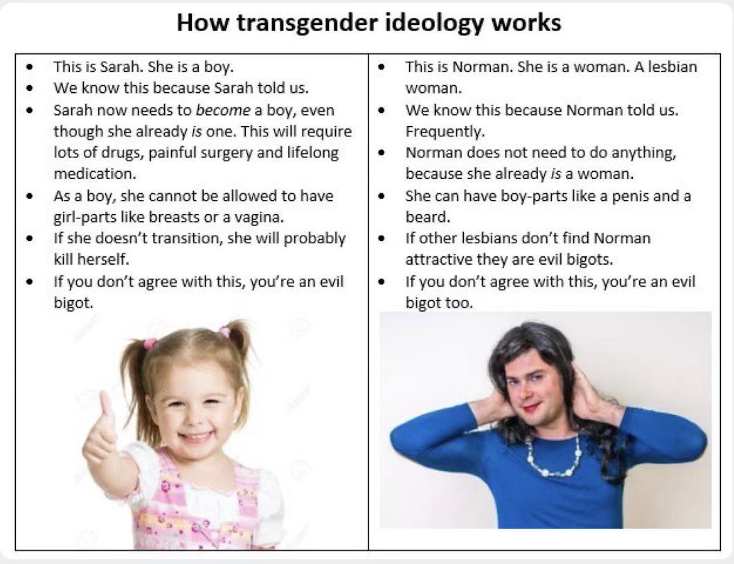 gender ideology
