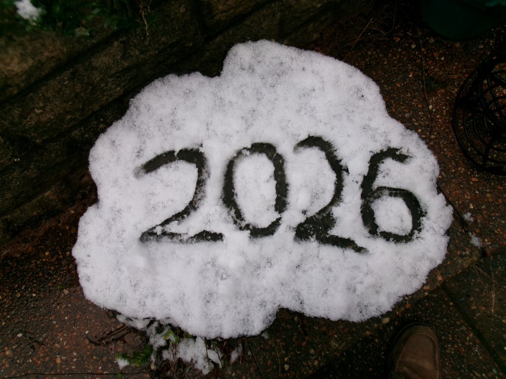 '2026' written in snow on a tree stump