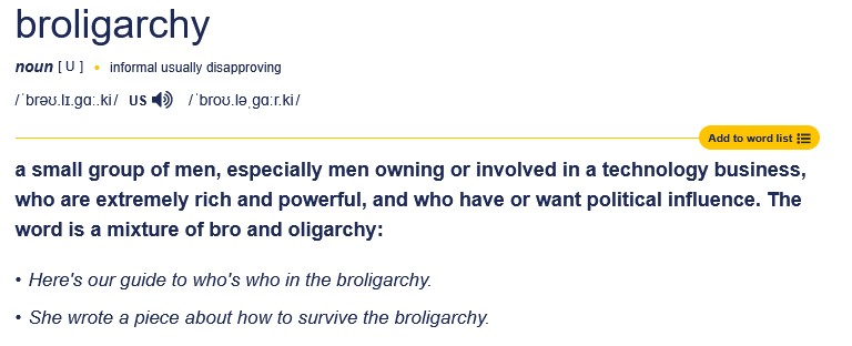 Cambridge definition of broligarchy