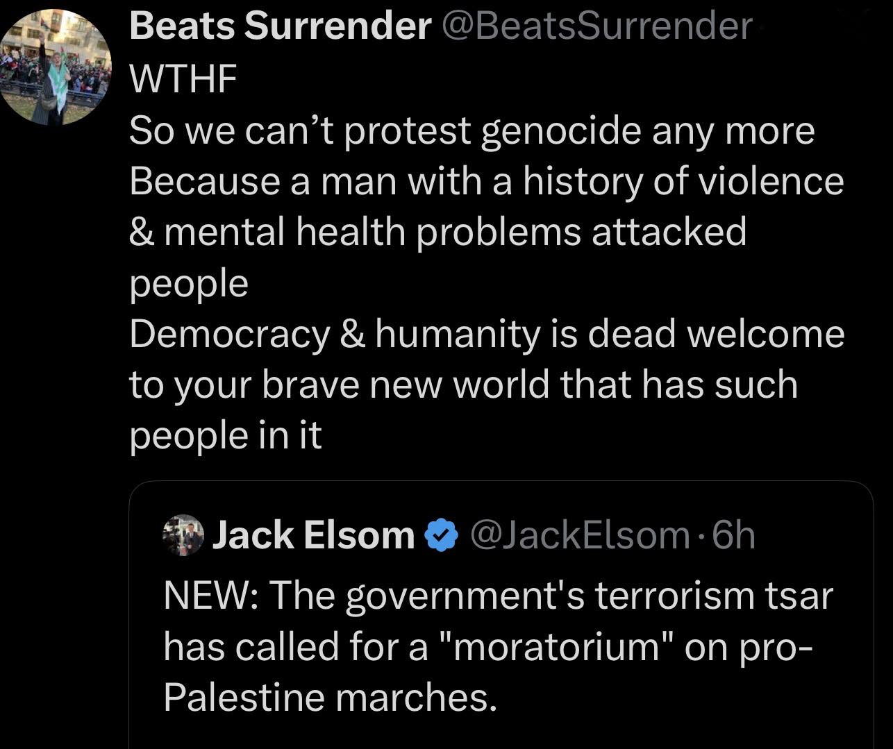 Soc media post: The Government's terrorism tsar has called for a 'moratorium' on pro-Palestine marches