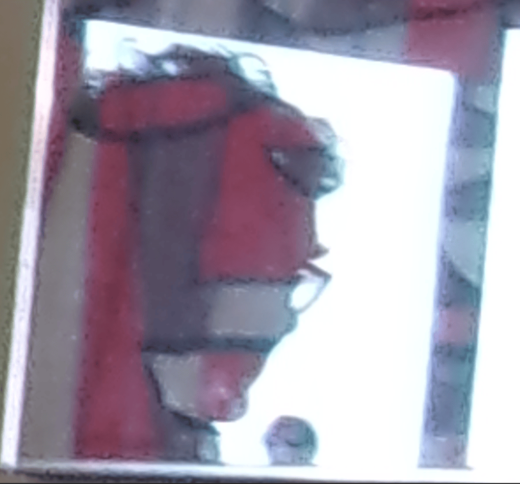 Oborne's face reflected in a picture-glass