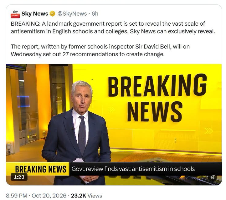 'Govt review finds vast antisemitism in schools'